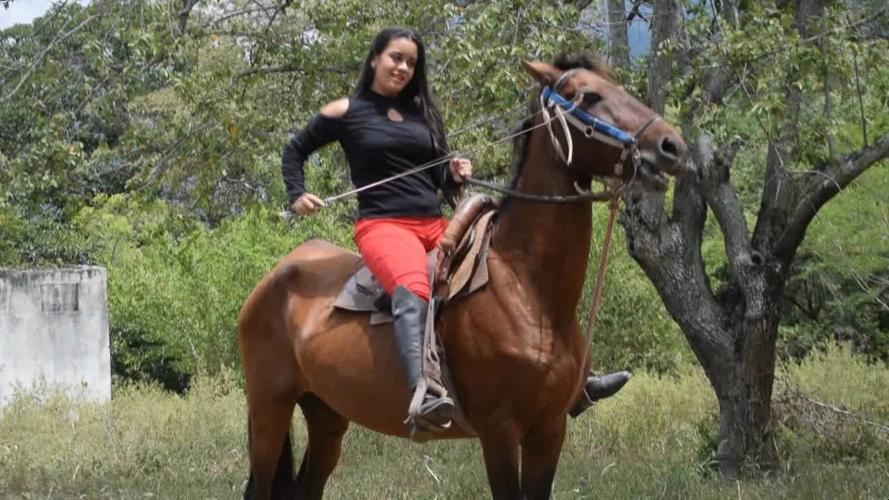 二次元导管奖励素材